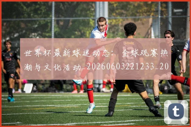 世界杯最新球迷动态：全球观赛热潮与文化活动_20260603221233_20260702174649